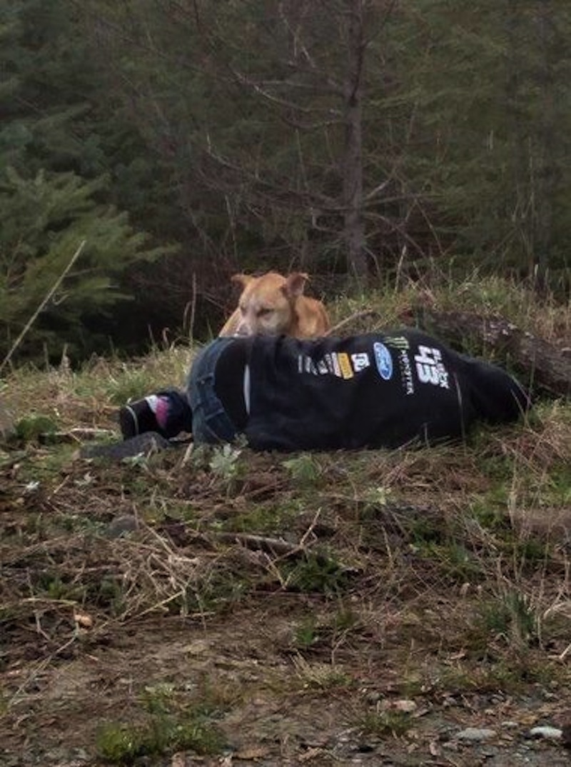 635640206317505323-baby-bear-dog3.jpg