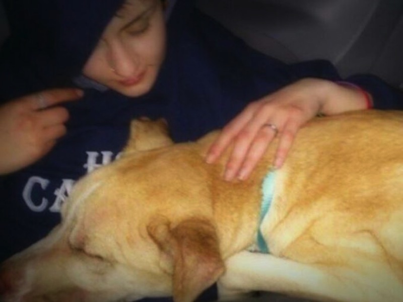 635640496035914910-babybeardog13.jpg