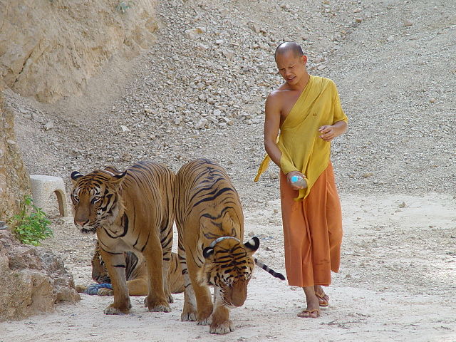640px-Wat_Phra_Luang_Ta_Bua.jpg