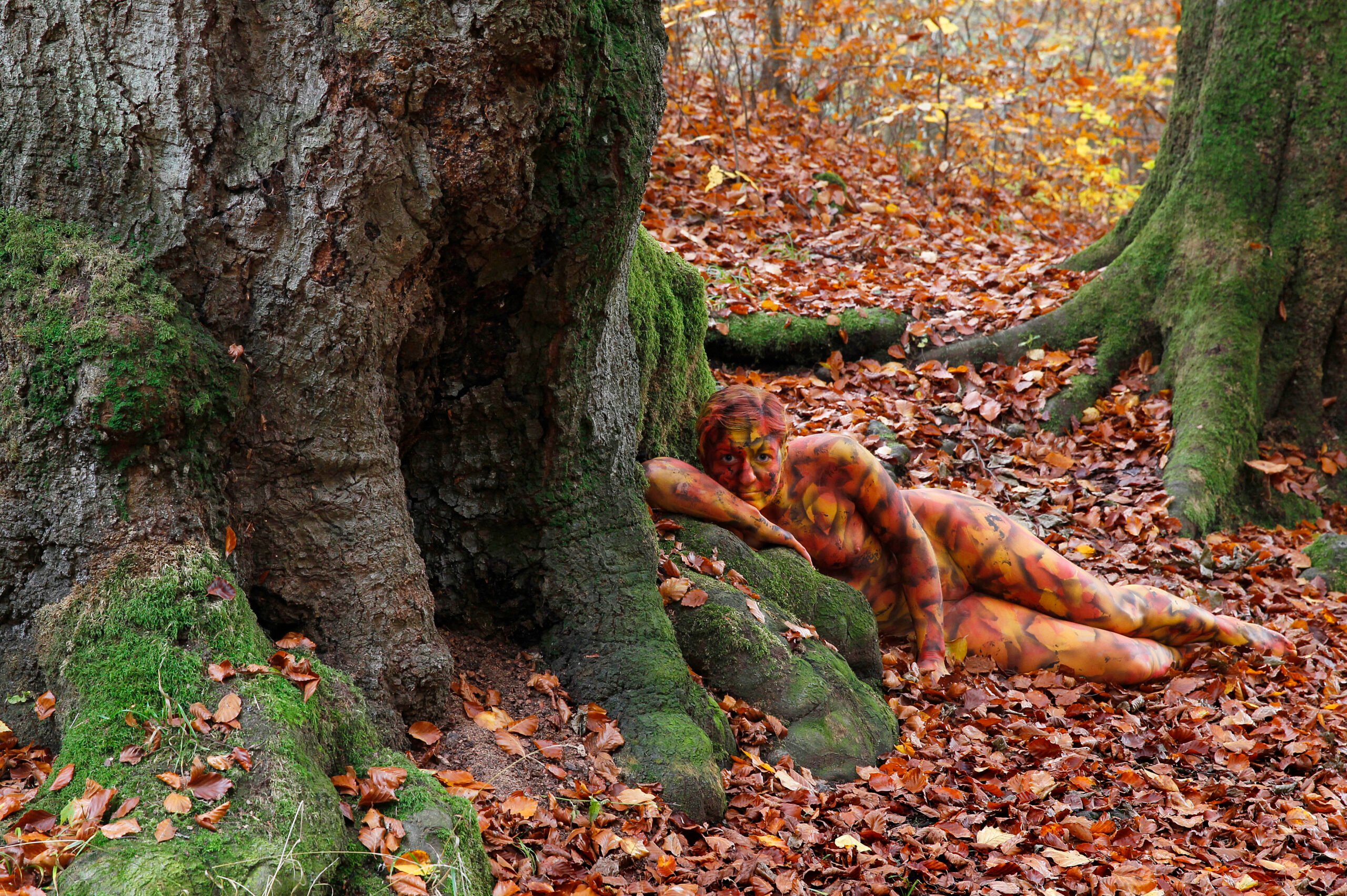 DECIDUOUS FOREST BODYPAINTING DECIDUOUS FOREST BODYPAINTING