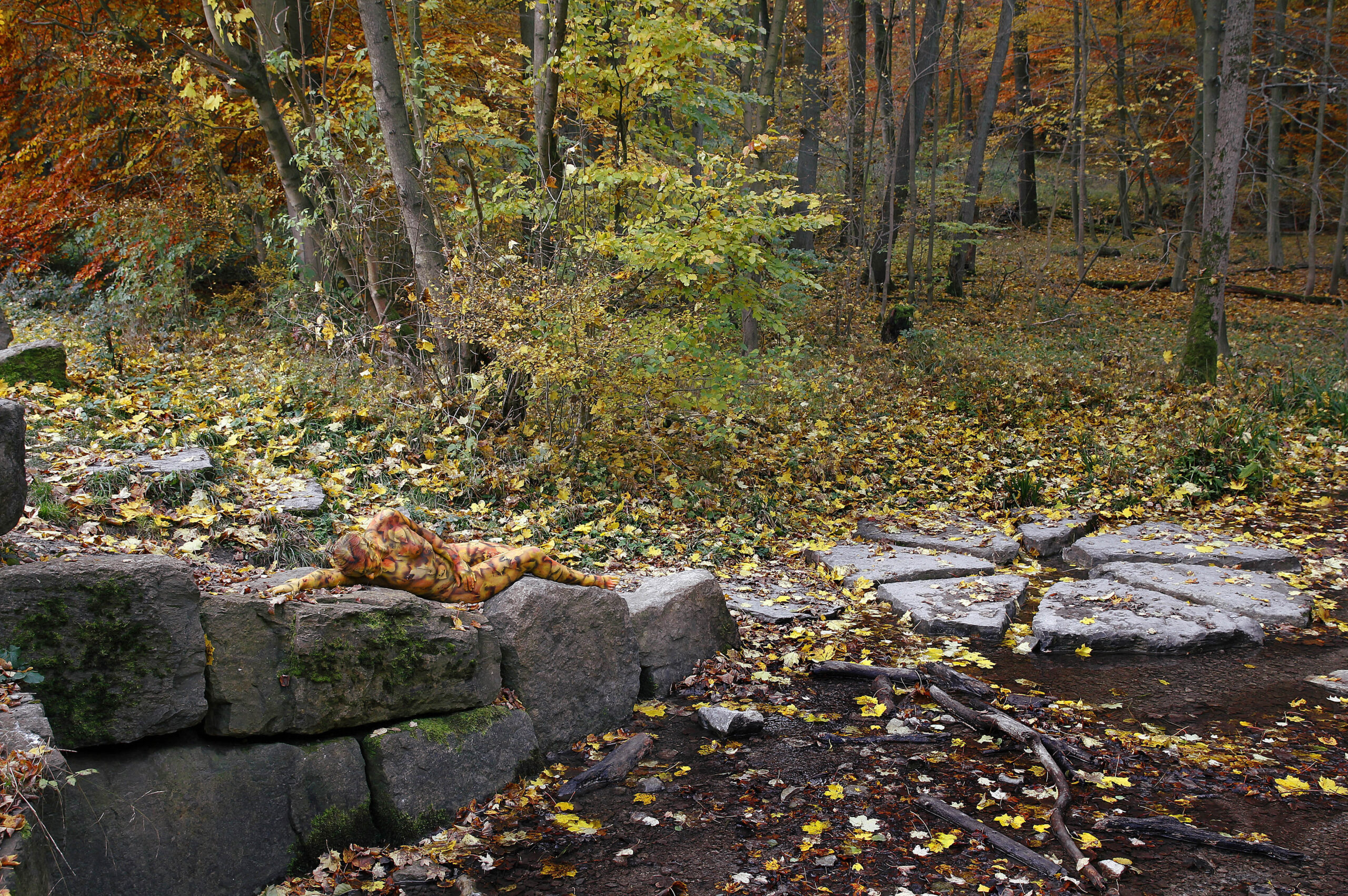 DECIDUOUS FOREST BODYPAINTING