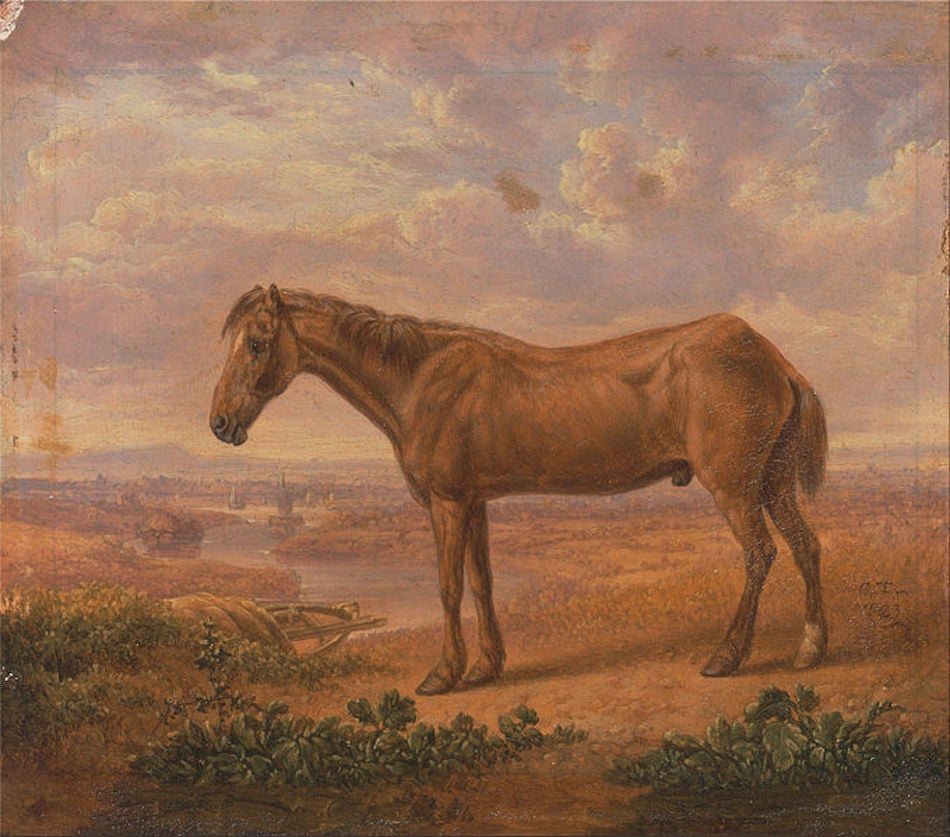 680px-Charles_Towne_-_Old_Billy_a_Draught_Horse_Aged_62_-_Google_Art_Project.jpg