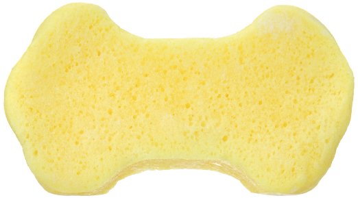 6Spongeables.jpg