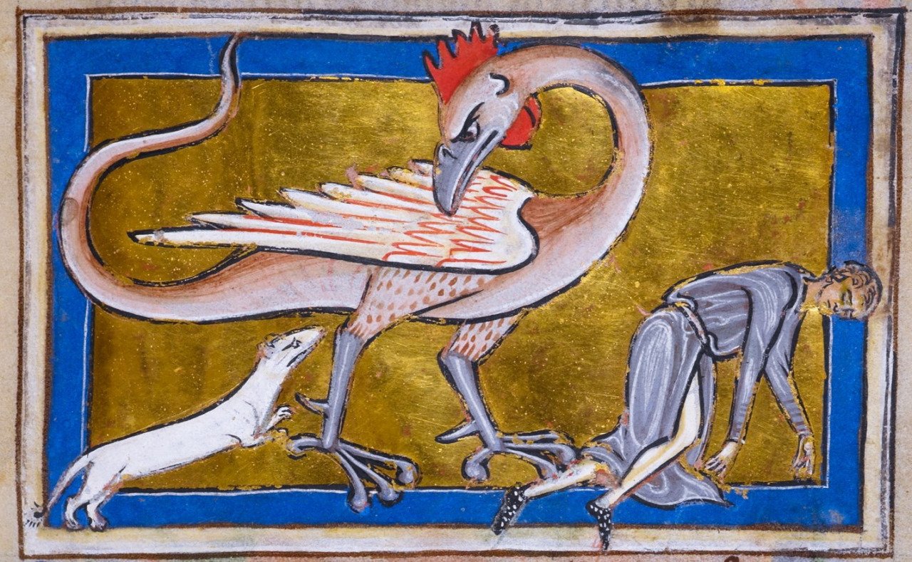 8.-Catalogue-of-Illuminated-Manuscripts.jpg