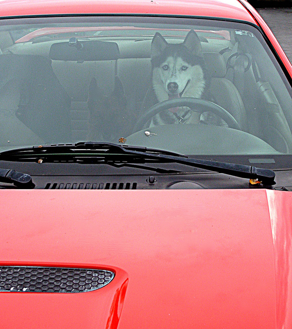 8.-Hot-Cars.jpg