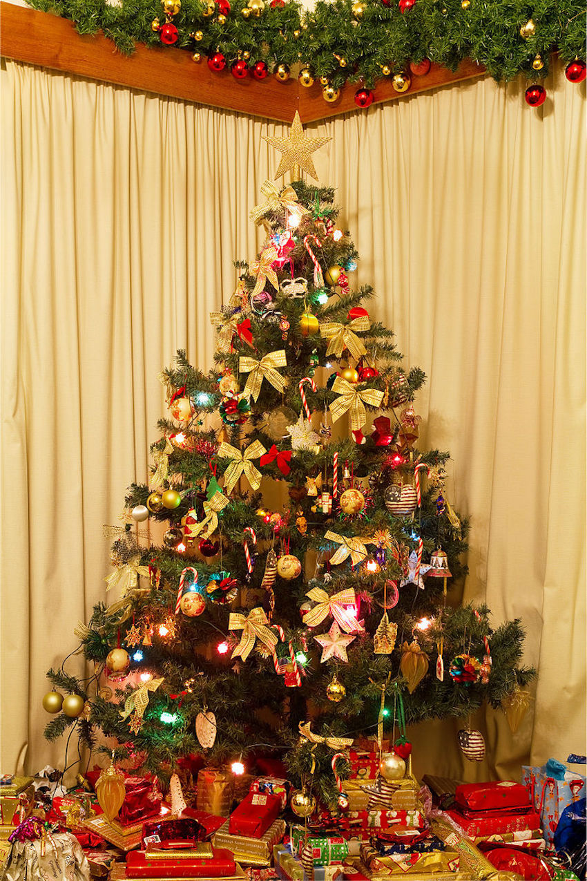 800px-Christmas_Tree_NS.jpg