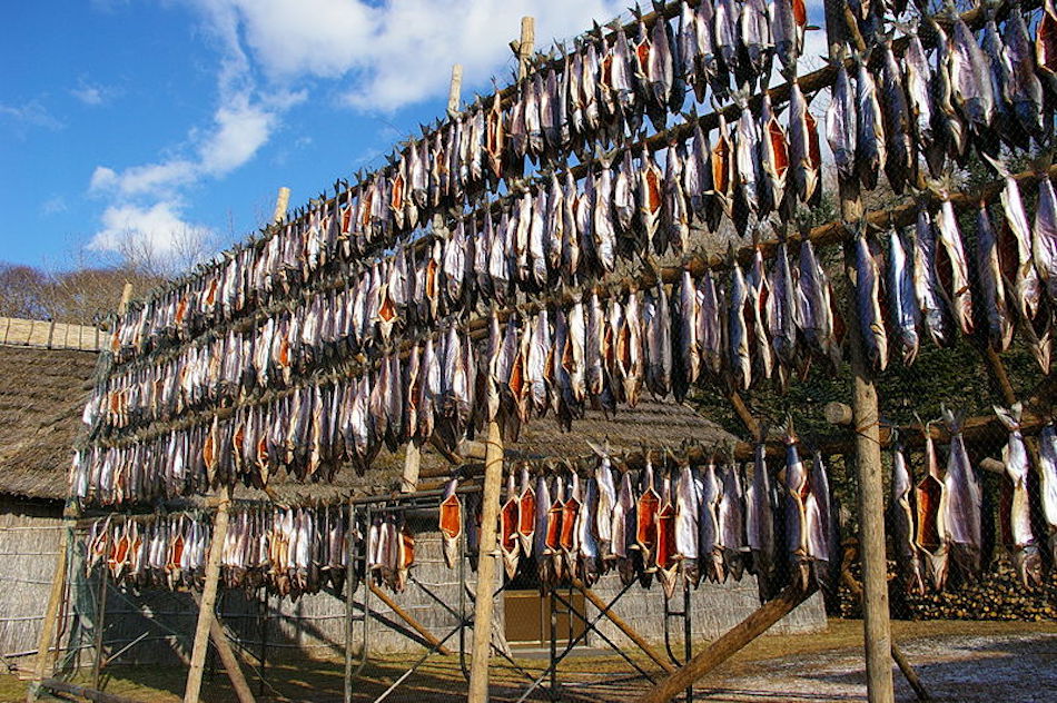 800px-Dried_salmon_in_Ainu_museum___________Sacchep.jpg