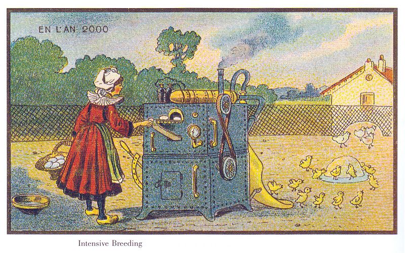 800px-France_in_XXI_Century._Intencive_breeding.jpg