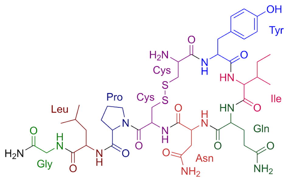 800px-Oxytocin_color.svg_.png