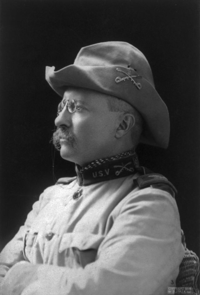 800px-Theodore_Rooseveltnewtry.jpg