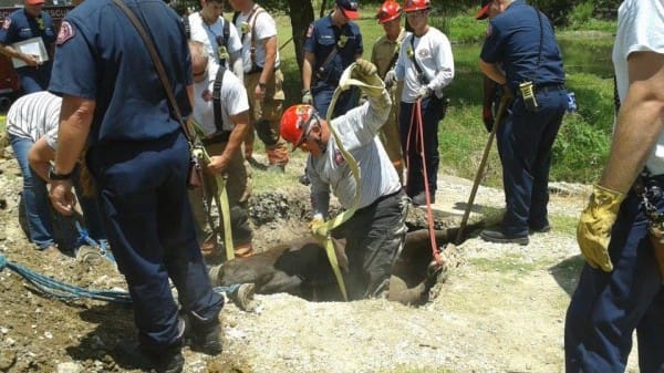 841-600x337-1.jpg