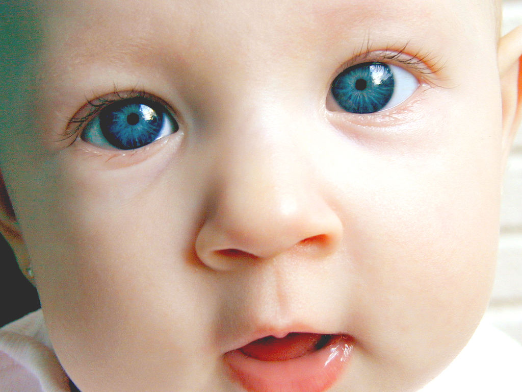 8505313_468c3f11a1_b.jpg