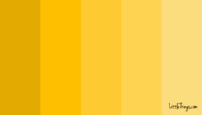 8_yellow.jpg 8_yellow.jpg