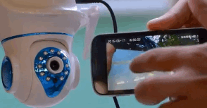 8b.gif