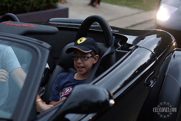 8m6p6-cars6.jpg
