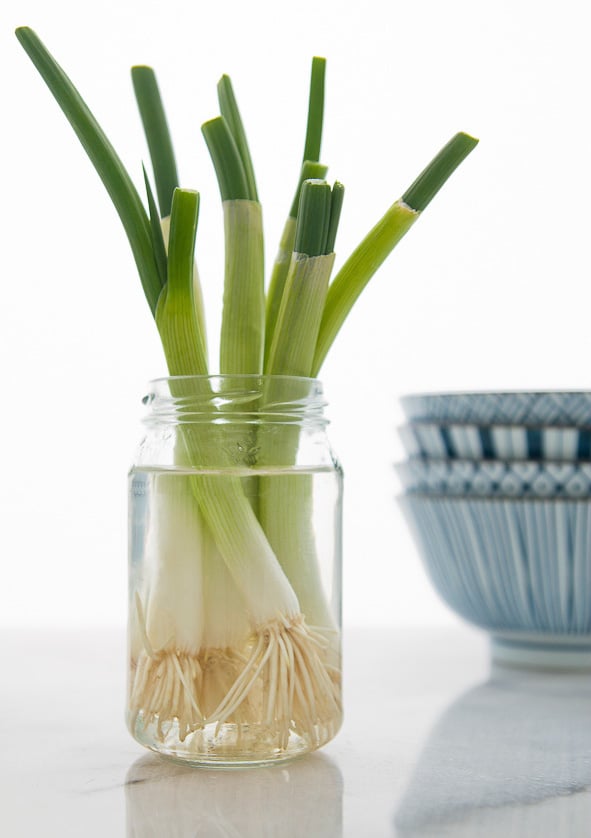 9.-Green-Onions.jpg