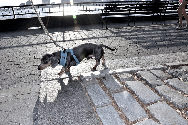 9.-Sidewalk-_-Beach.jpg