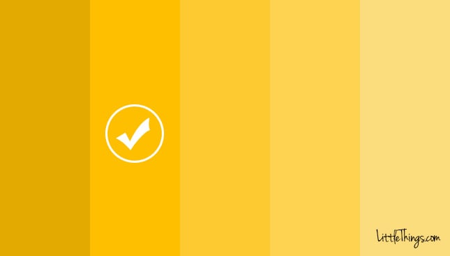 9_yellow-check.jpg 9_yellow-check.jpg