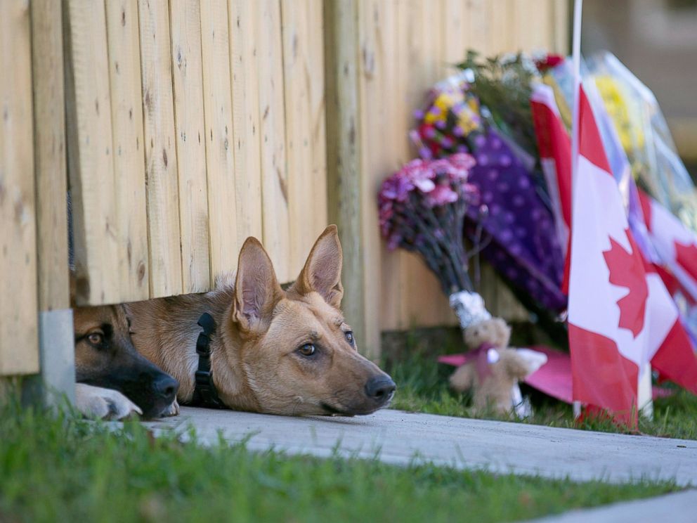 AP_nathan_cirillo_dog_01_jef_141023_4x3_992.jpg