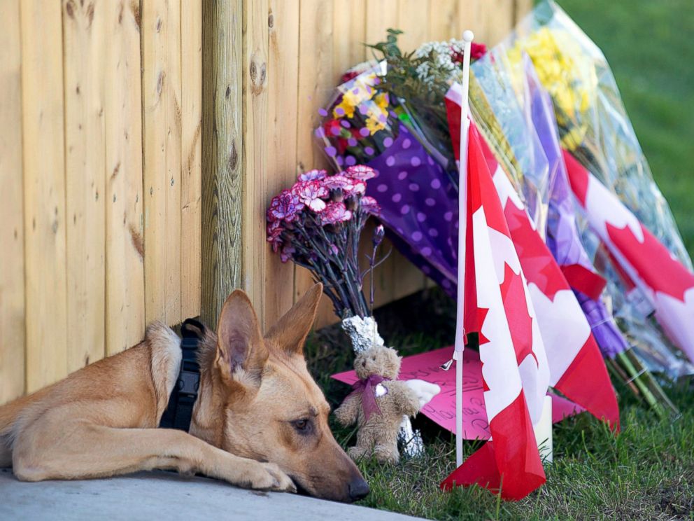 AP_nathan_cirillo_dog_04_jef_141023_4x3_992.jpg