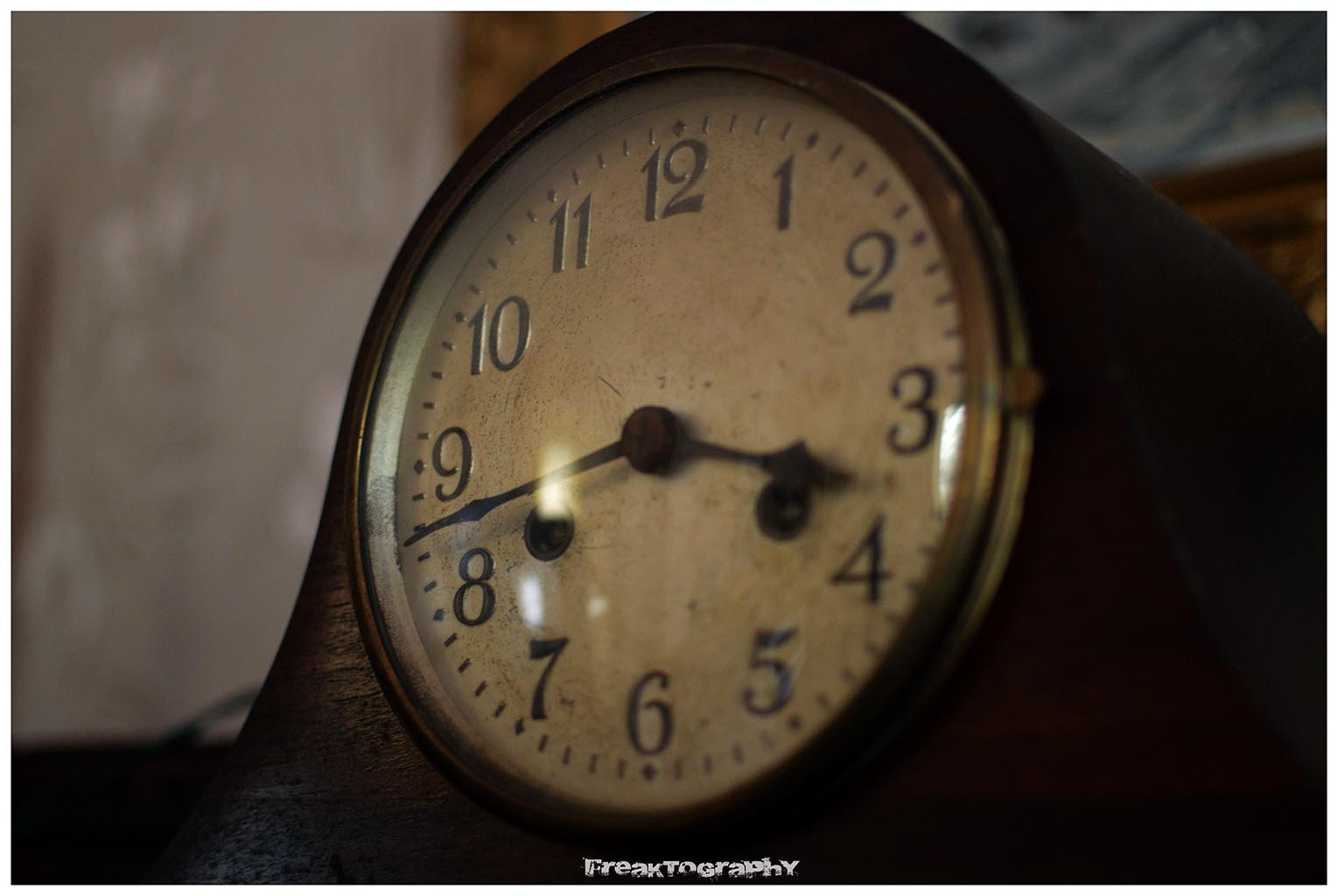 Abandoned Time Capsule House in Ontario Freaktography