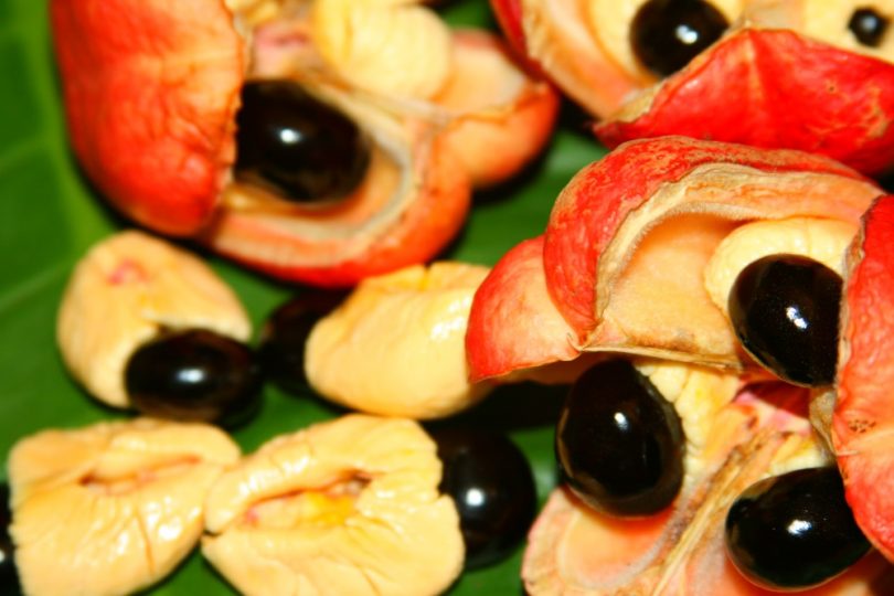 Ackee-FruitJamaicans.com_.jpg