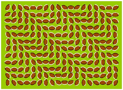 Actual-Optical-Illusion-4.jpg