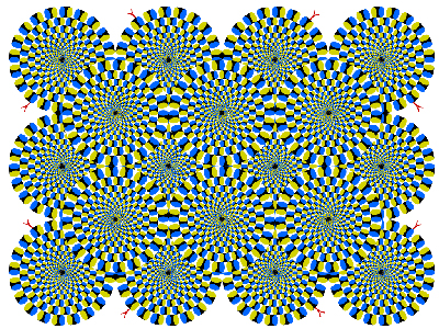 Actual-Optical-Illusion-6.jpg