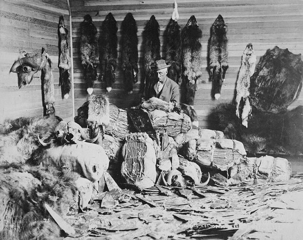 Alberta_1890s_fur_trader.jpg