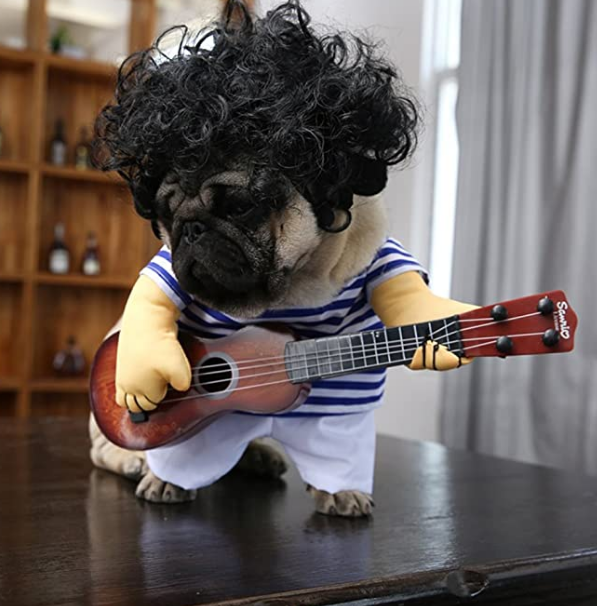 Amazon-com-NACOCO-Pet-Guitar-Costume-Dog-Costumes-Cat-Halloween-Christmas-Cosplay-Party-Funny-Outfit-Clothes-M-Pet-Supplies.png