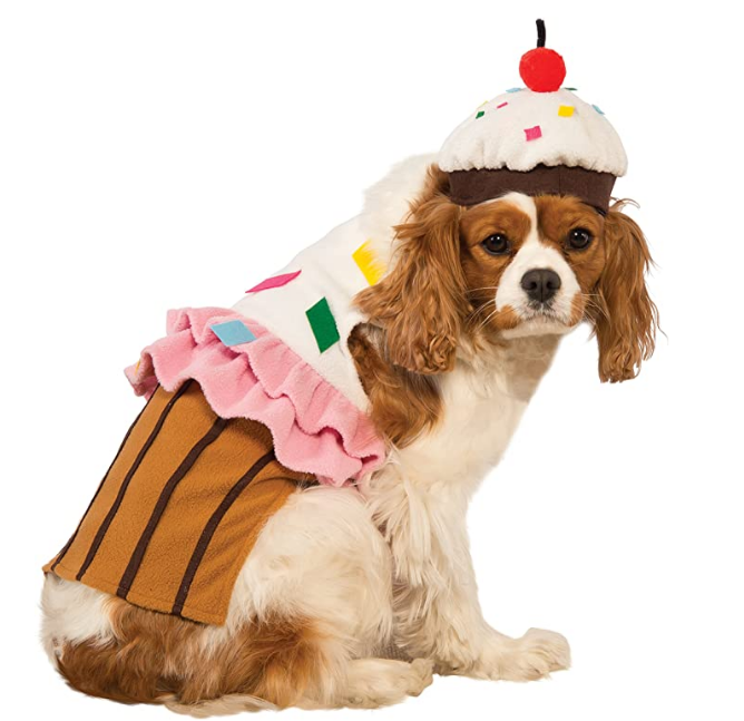 Amazon-com-Rubie-s-Cupcake-Dog-Costume-Medium-Pet-Supplies.png