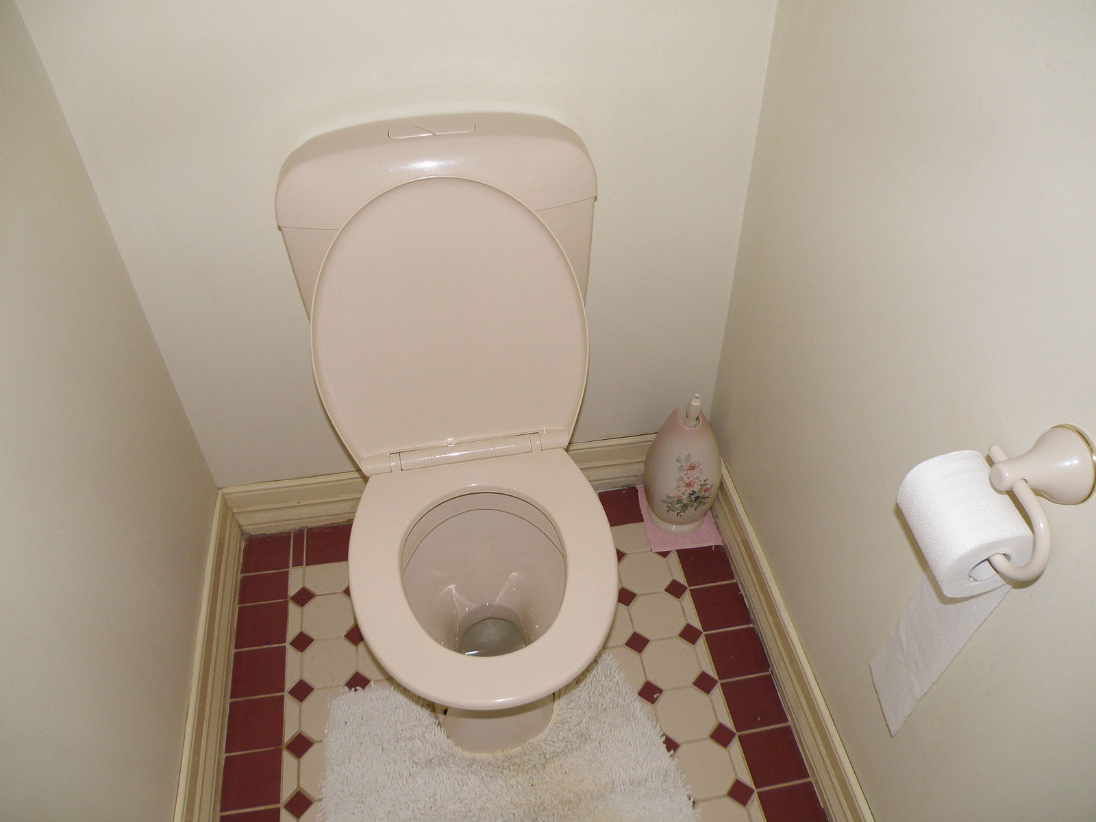 Australian_Toilet-1.jpg