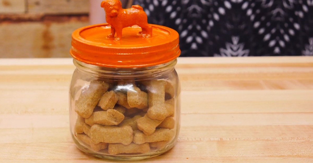 AvoDerm Dog Treat Jar Newsletter