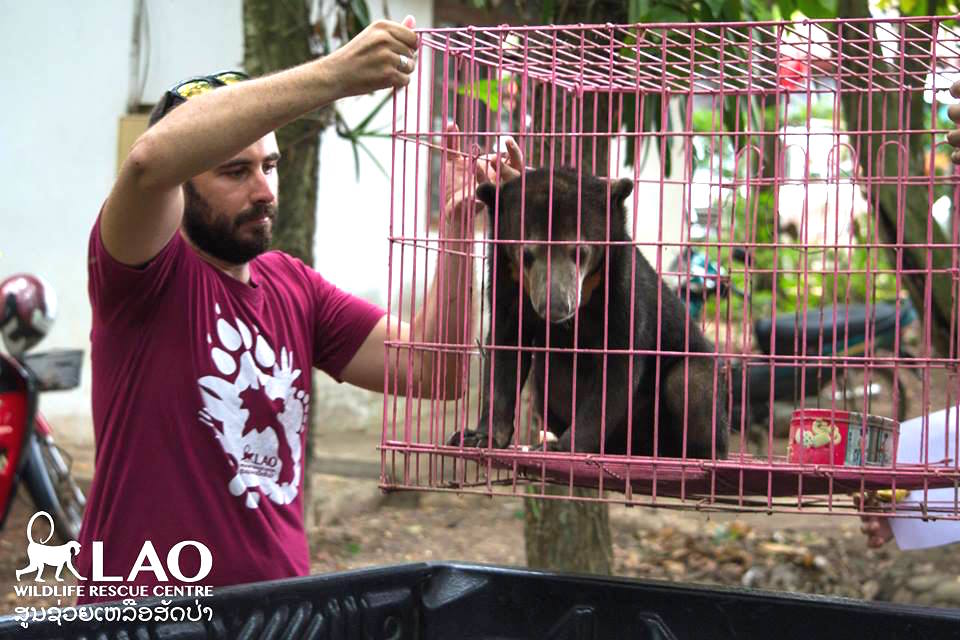Baby-Bear-4.jpg