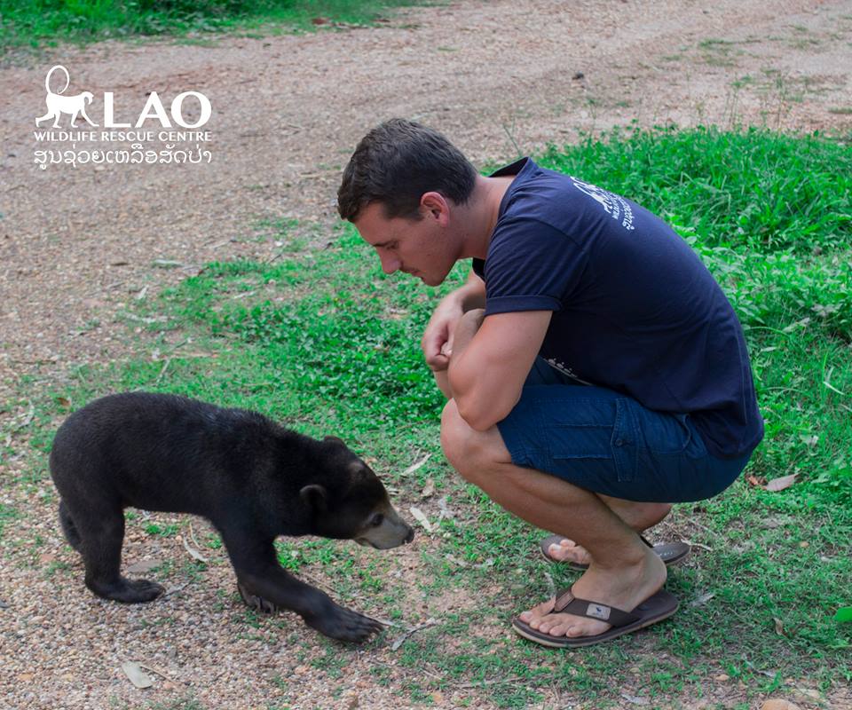 Baby-Bear-8.jpg