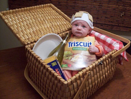 Baby-Picnic-Basket-Costume.jpg