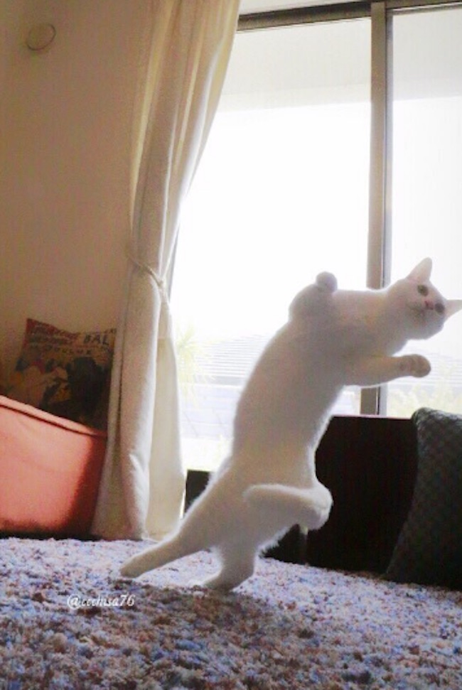 Ballet-Cat-8.jpg