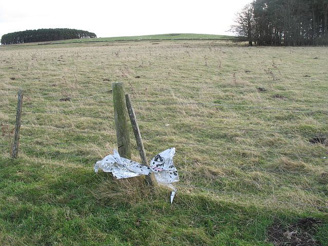 Balloon_now_litter_-_geograph.org_.uk_-_622496.jpg