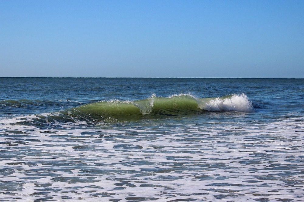 Beach Myrtle Beach South Carolina Ocean Atlantic