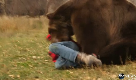 Bear2-2.jpg