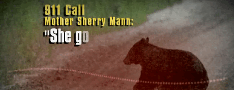BearAttack.gif