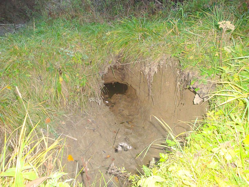 Beaver-Hole.jpg