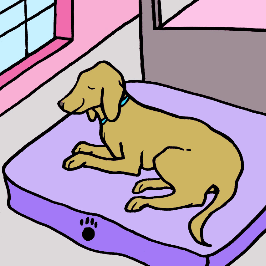 Bed-Partners.jpg Bed-Partners.jpg