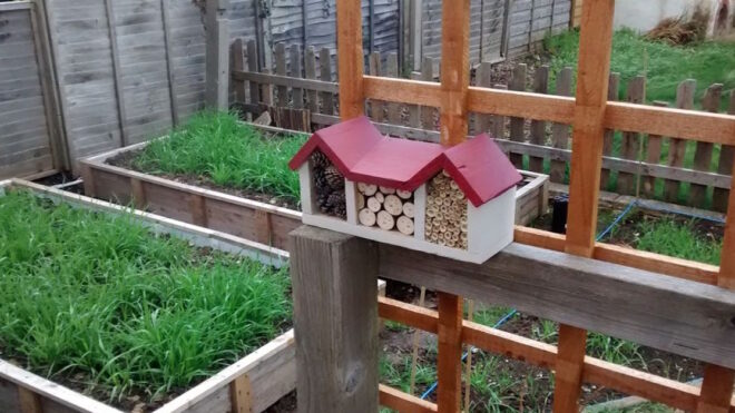 Bee House Feature 2