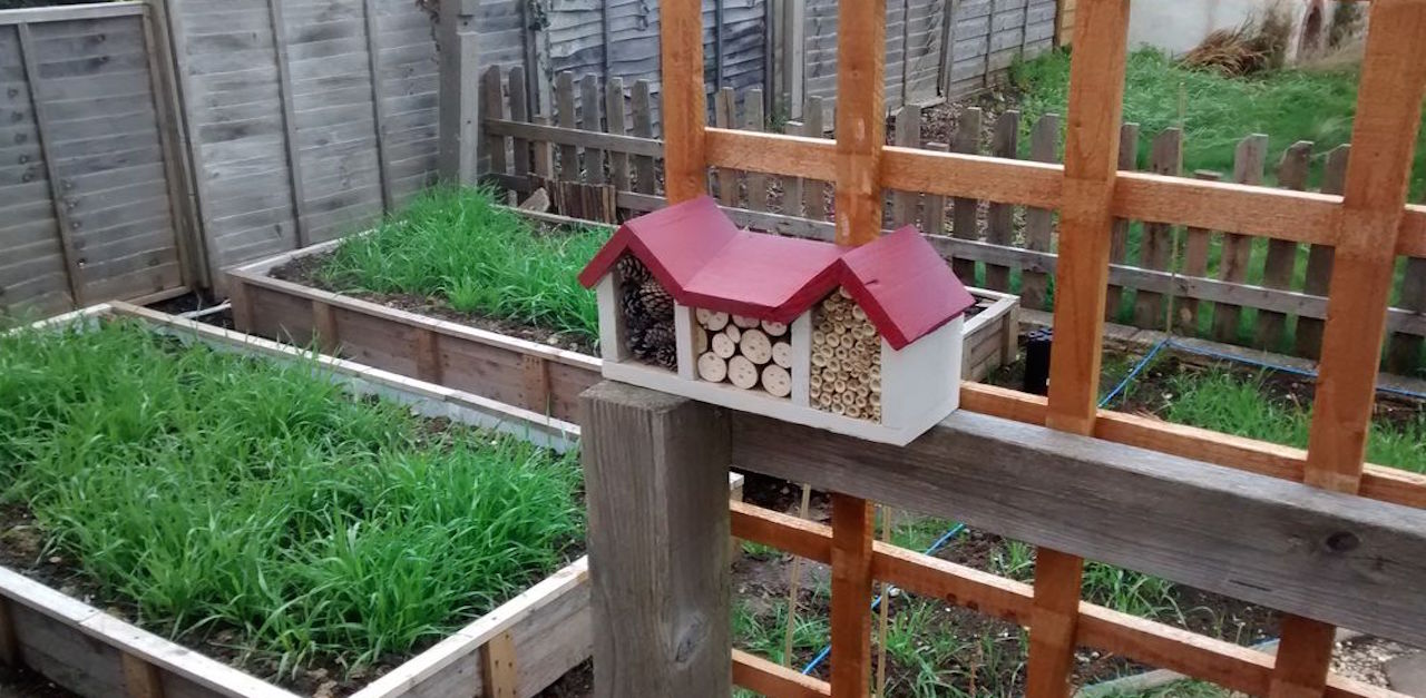 Bee House Feature 2