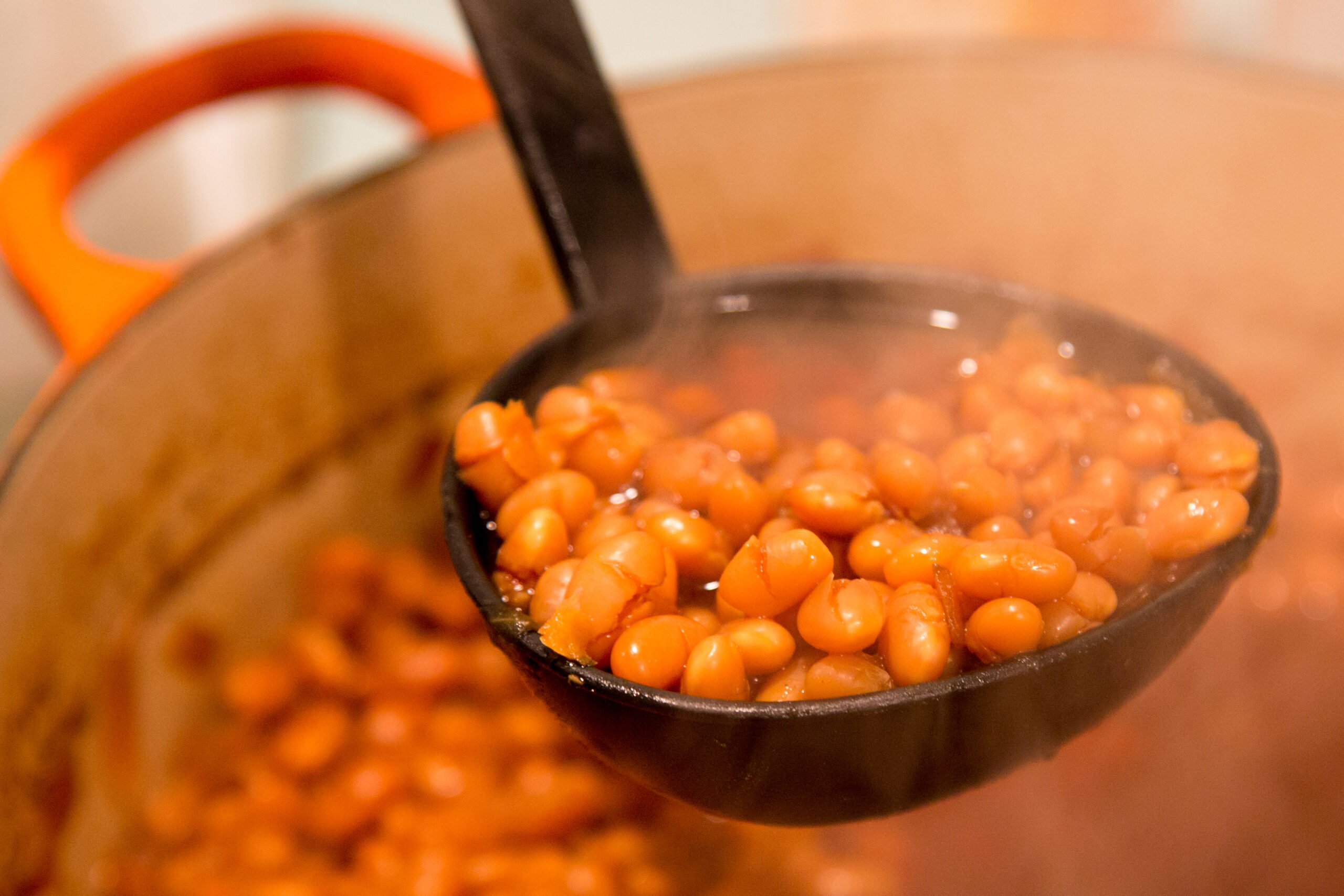 Boston_Baked_Beans_in_Concord_Mass_2012-0193.jpg