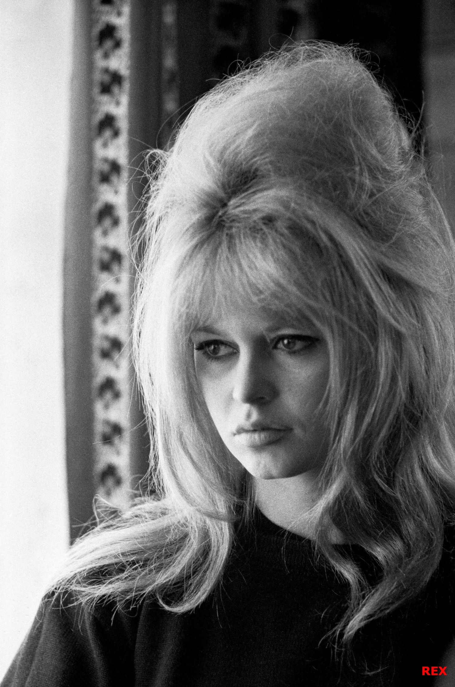 Brigitte-Bardot-Cropped.jpg