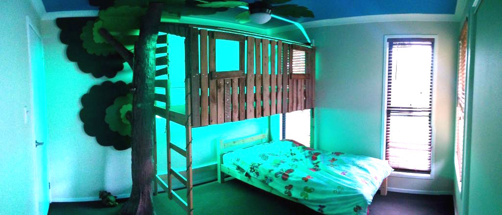 Bunk-Bed-Tree-10.jpg