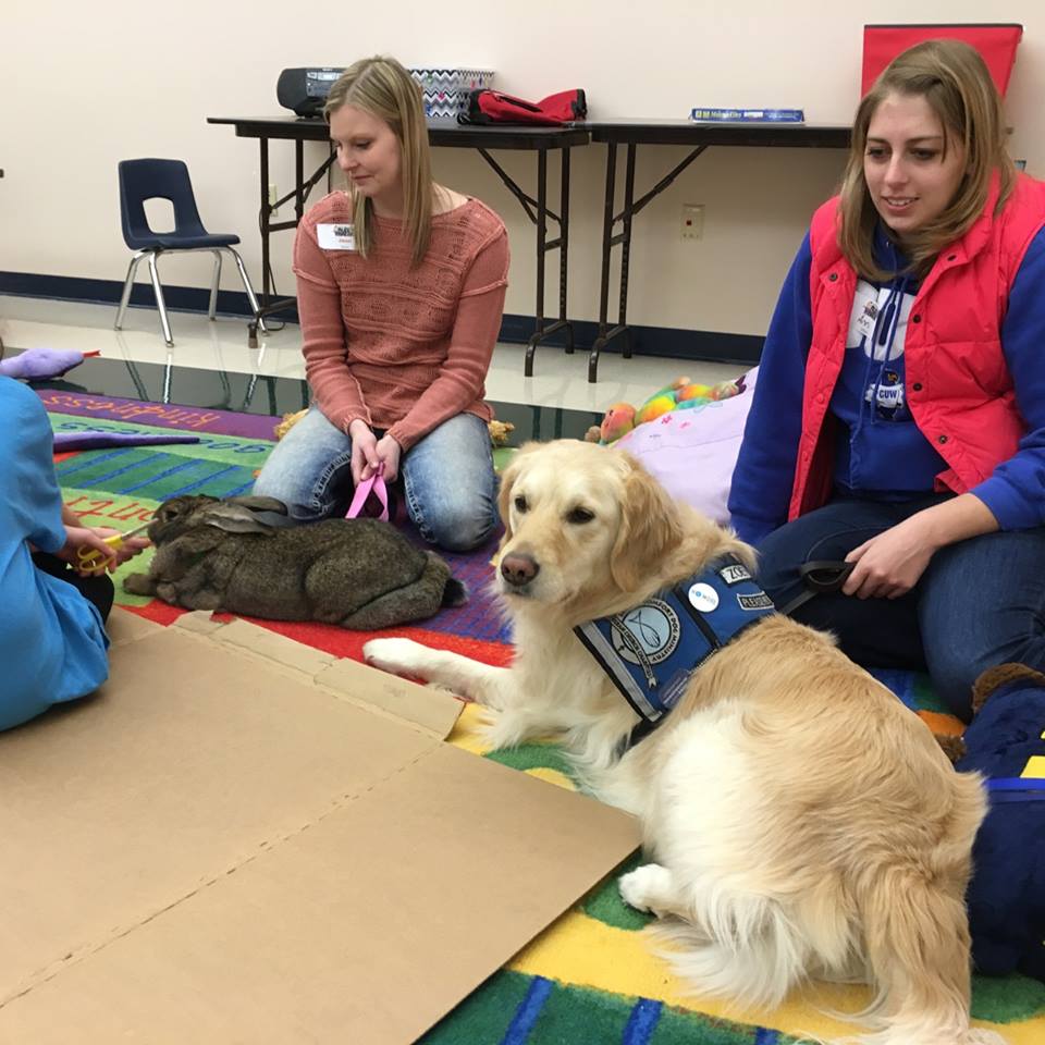 Bunny-and-Therapy-Dog.jpg