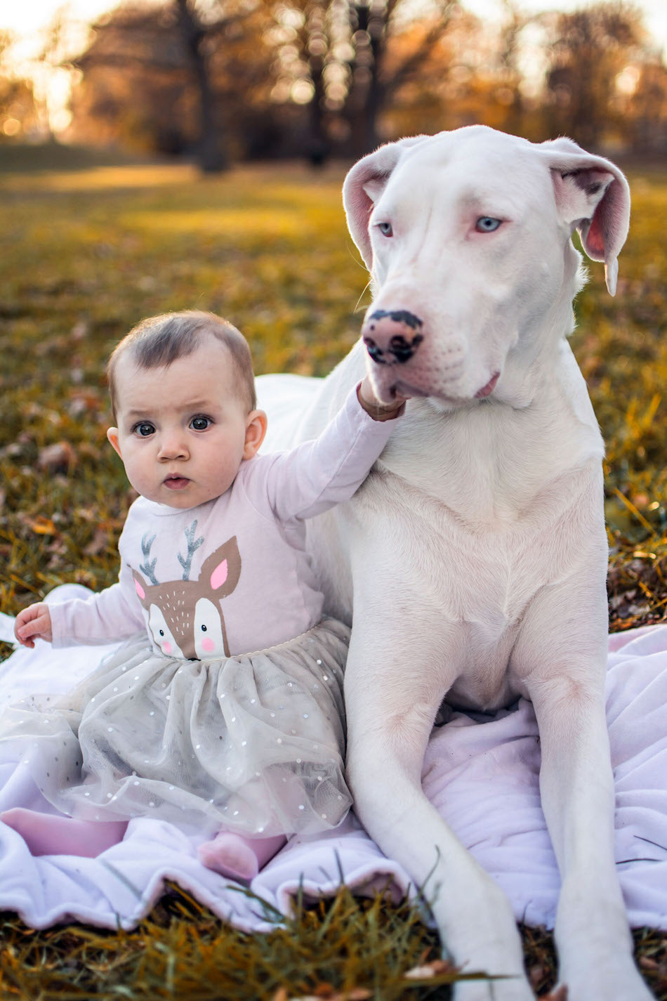 DEAF DOG AND GIRL BEST FRIENDS